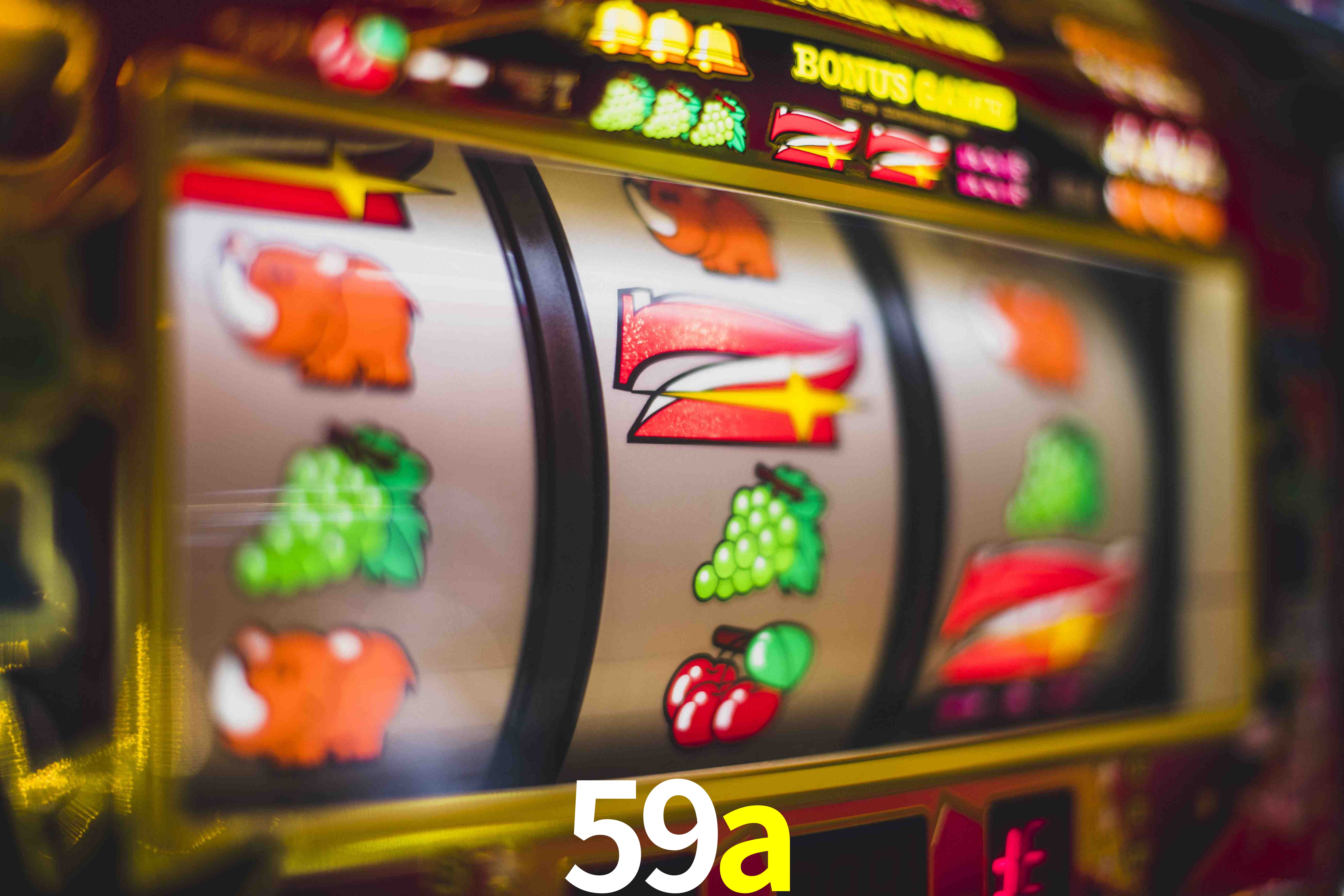 Experiência VIP 59a